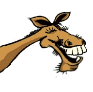 00horse.gif (73294 bytes)