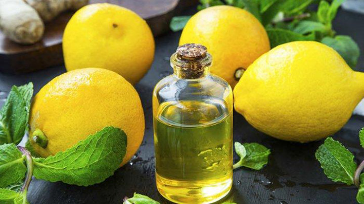 Manfaat Dari Buah Lemon Bagi Tubuh Yang Sangat Baik Bagi Kesehatan
